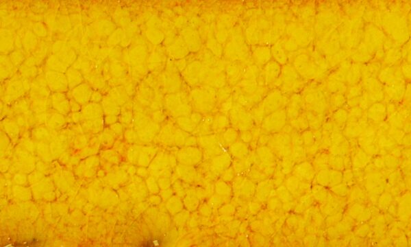 KJ-117 Sunfire Yellow