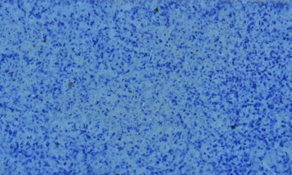 KJ-118 Snowflake Blue