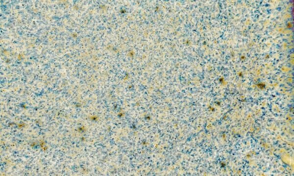 KJ-238 Pearl Dust