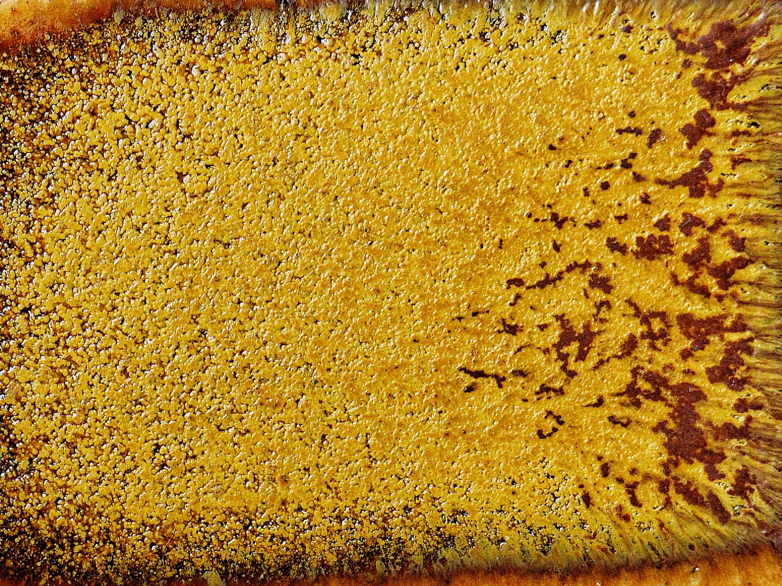 KJ-237 Royal Gold